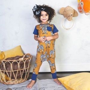 Rags to Raches Zebra